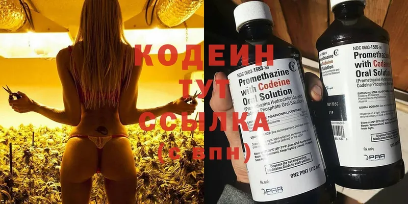 Codein Purple Drank  как найти закладки  Льгов 